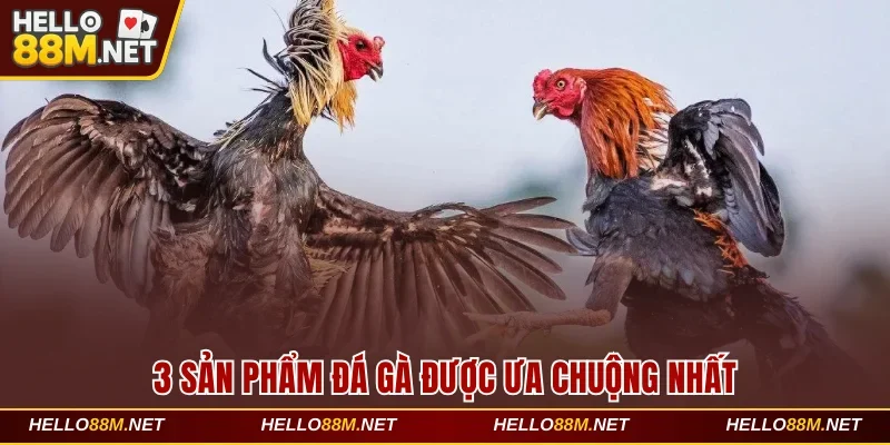 3 sản phẩm đá gà được ưa chuộng nhất