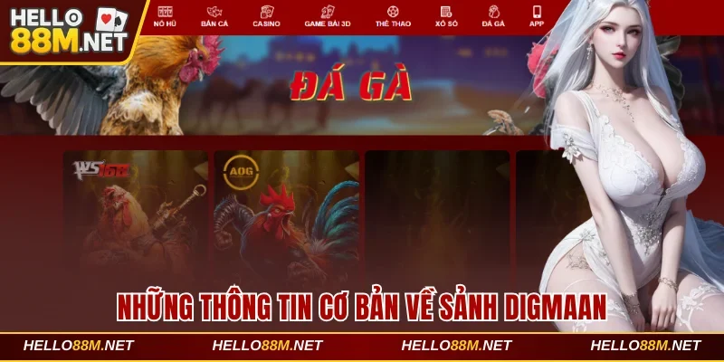 Những thông tin cơ bản về sảnh Digmaan
